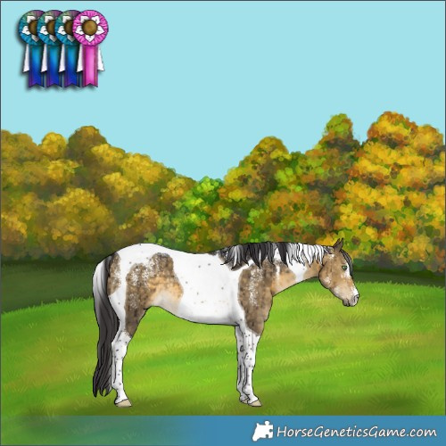 Horse Color:Powder White Buckskin Dun Tobiano Brindle 