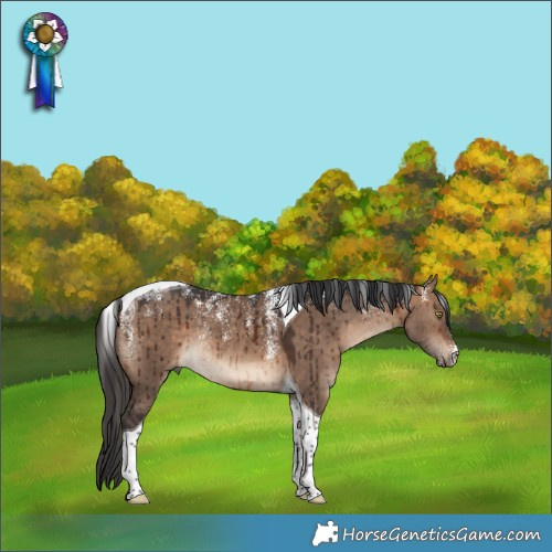 Horse Color:Powder White Bay Dun Tobiano Rabicano Brindle