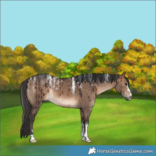 Horse Color:Powder White Brown Dun Brindle 