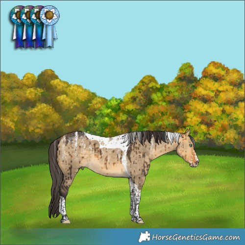 Horse Color:Powder White Buckskin Dun Tobiano Brindle