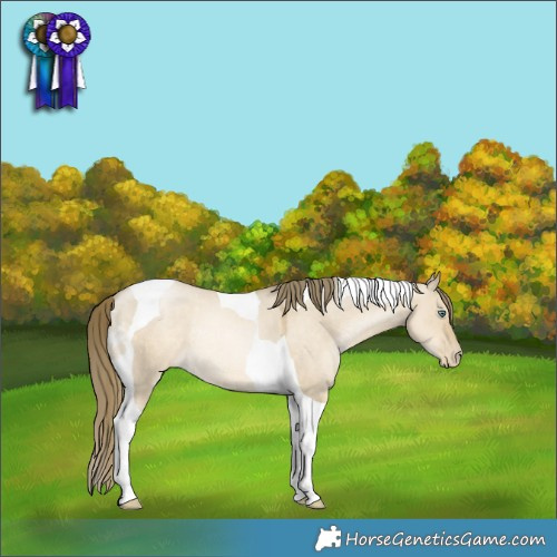 Horse Color:Smoky Grullo Pearl Mushroom Tobiano Appaloosa Rabicano