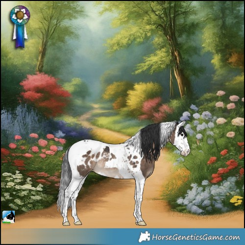 Horse Color:Brown Dun Splash Tobiano Appaloosa Rabicano 