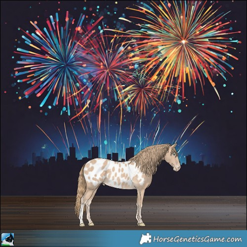 Horse Color:Perlino Sabino Appaloosa