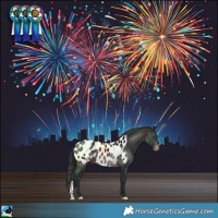 Horse Color:Brown Sabino Blanket 