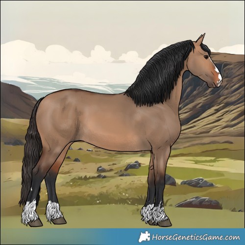 Horse Color:Bay Dun