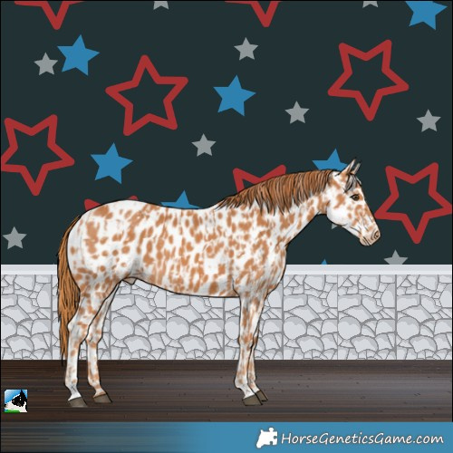 Horse Color:Chestnut Leopard  and Chestnut Leopard 