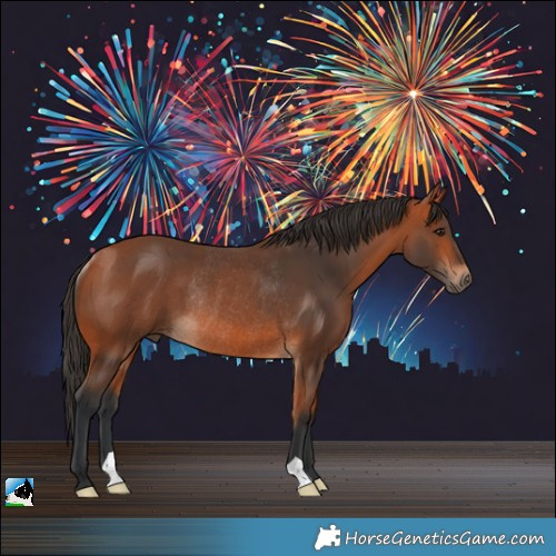 Horse Color:Bay Rabicano
