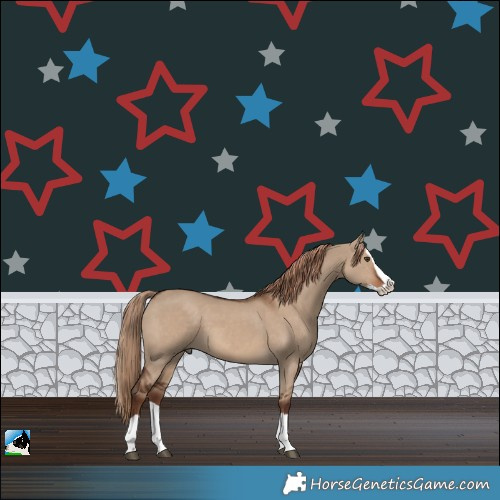 Horse Color:Liver Red Dun Splash
