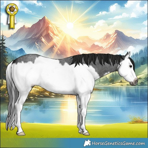 Horse Color:Gray Blue Roan Splash Frame