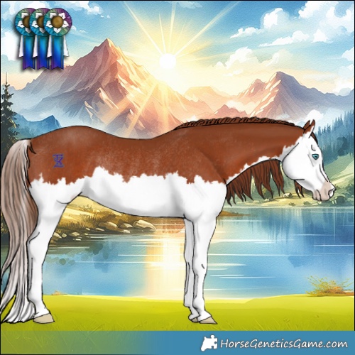 Horse Color:Chestnut Splash Rabicano 