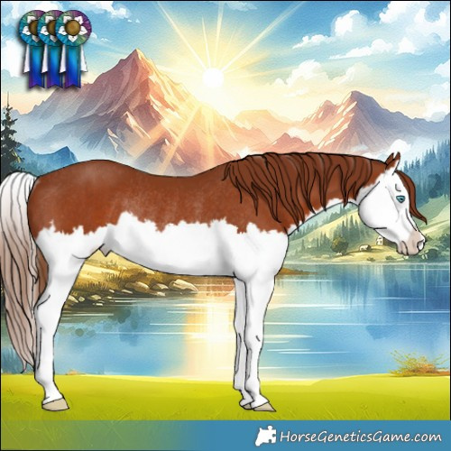 Horse Color:Chestnut Splash Rabicano