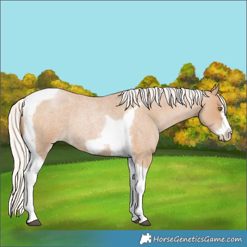Horse Color:Silver Blue Roan Pearl Tobiano Frame