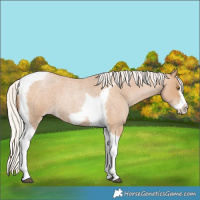 Horse Color:Silver Blue Roan Pearl Tobiano Frame 