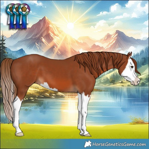 Horse Color:Chestnut Splash 