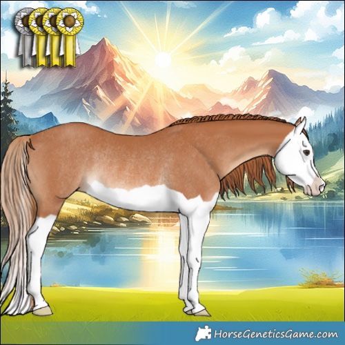 Horse Color:Chestnut Splash Rabicano