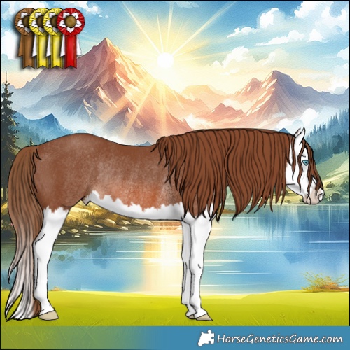 Horse Color:Chestnut Splash Rabicano