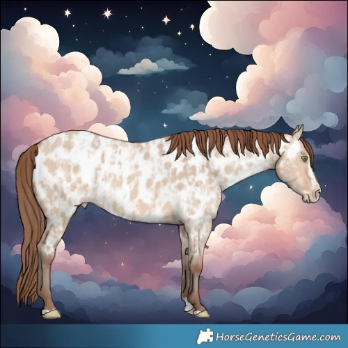 Horse Color:Amber Champagne Dun Near Leopard and Amber Champagne Dun Splash Near Leopard