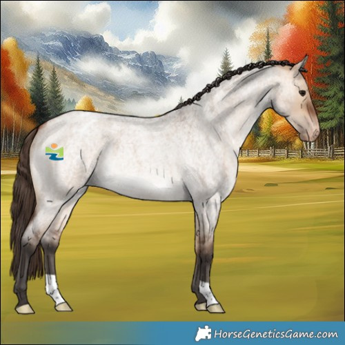 Horse Color:Bay Roan Dun Appaloosa