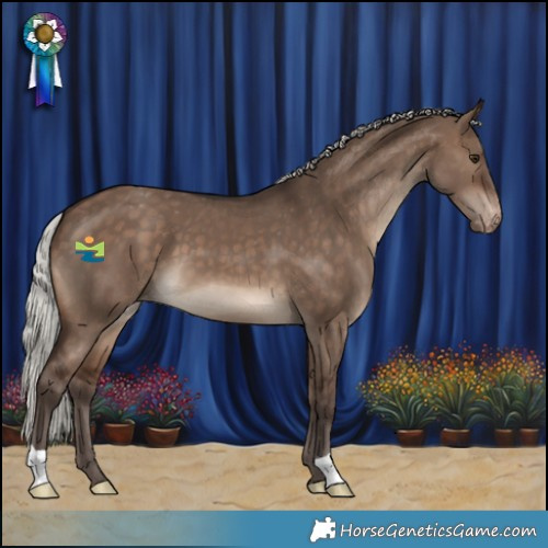 Horse Color:Silver Brown Dun Appaloosa