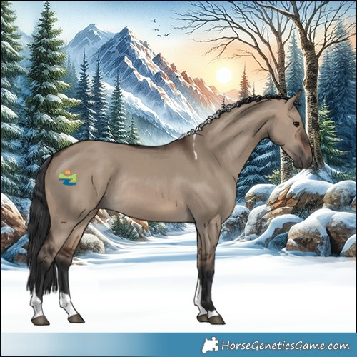 Horse Color:Brown Dun Tobiano Rabicano 