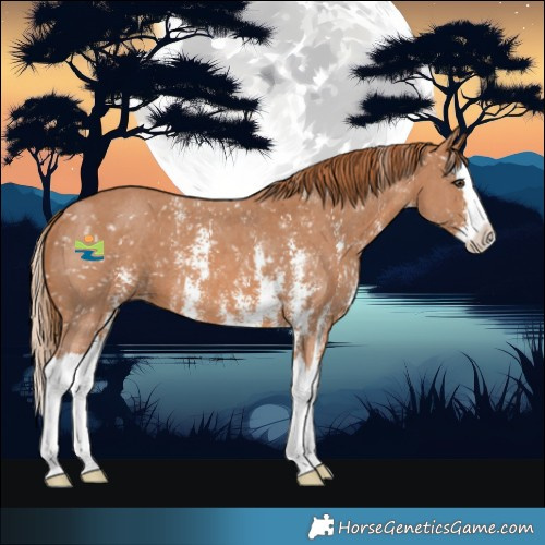 Horse Color:Chestnut Sabino Splash Snowflake Varnish 