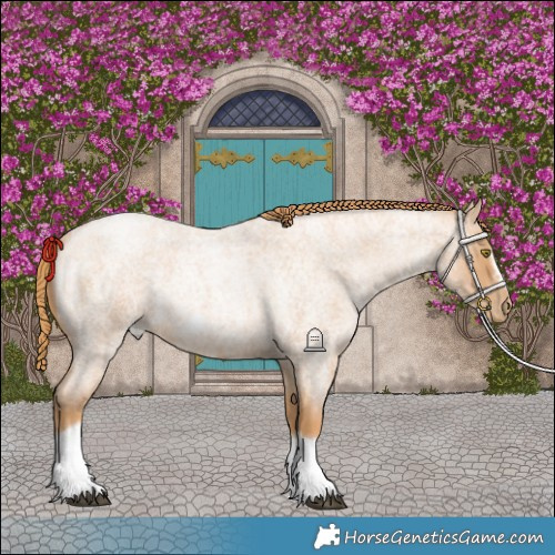 Horse Color:Red Roan Pearl Tobiano Frame 
