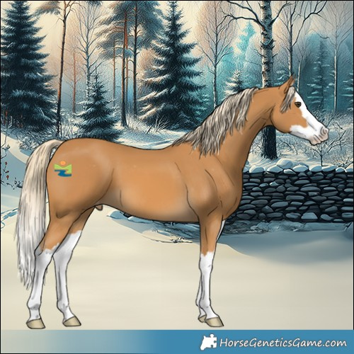 Horse Color:Palomino Splash Varnish 
