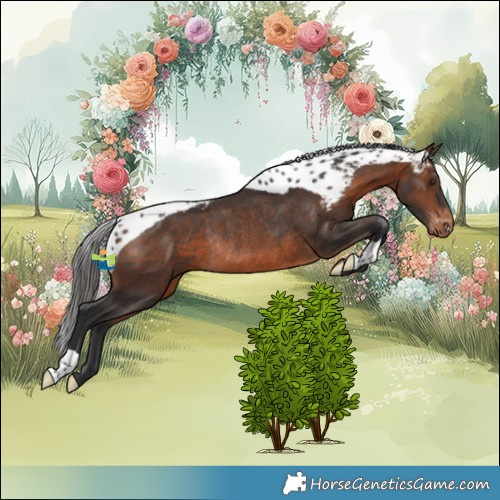 Horse Color:Brown Skewed Appaloosa Rabicano 