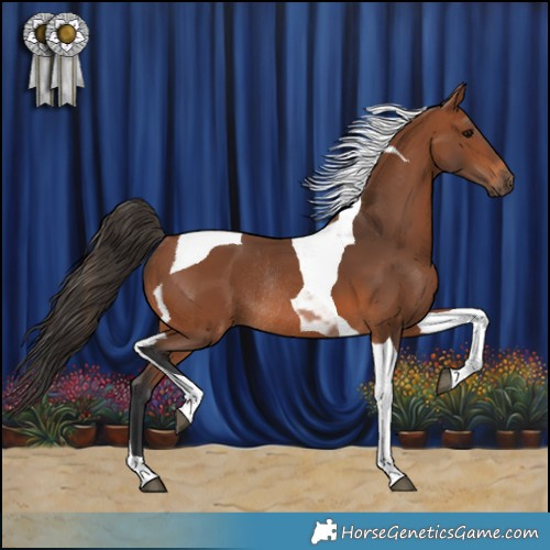 Horse Color:Bay Tobiano Rabicano