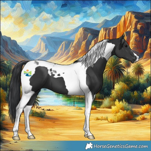 Horse Color:Black Tobiano