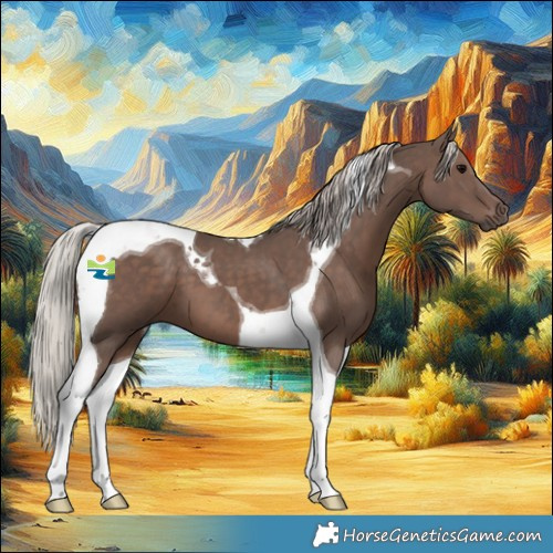 Horse Color:Silver Black Tobiano