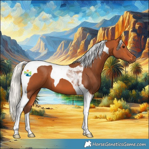Horse Color:Silver Bay Tobiano