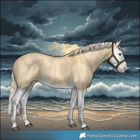 Horse Color:Palomino Dun Splash 