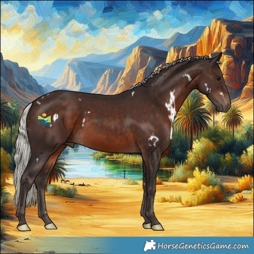 Horse Color:White Spotted Silver Brown Rabicano