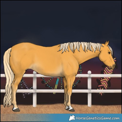 Horse Color:Palomino 