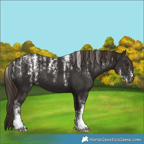 Horse Color:Powder White Liver Chestnut 