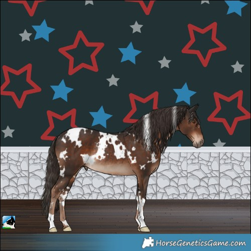 Horse Color:White Spotted Liver Chestnut Rabicano