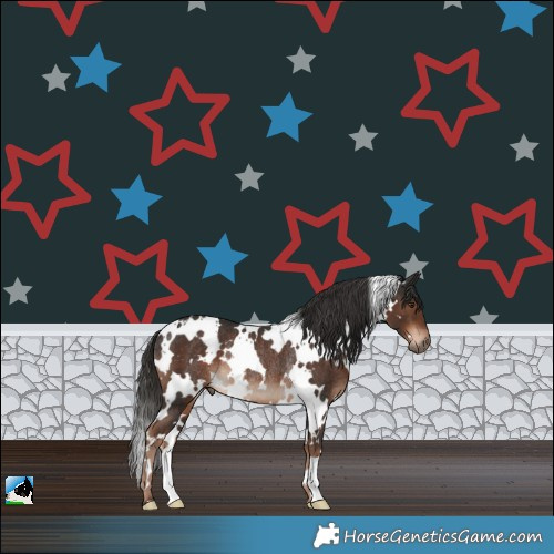 Horse Color:White Spotted Liver Chestnut Rabicano