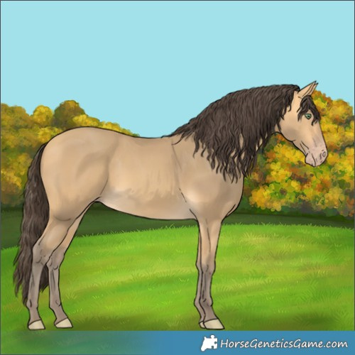 Horse Color:Amber Cream Champagne 