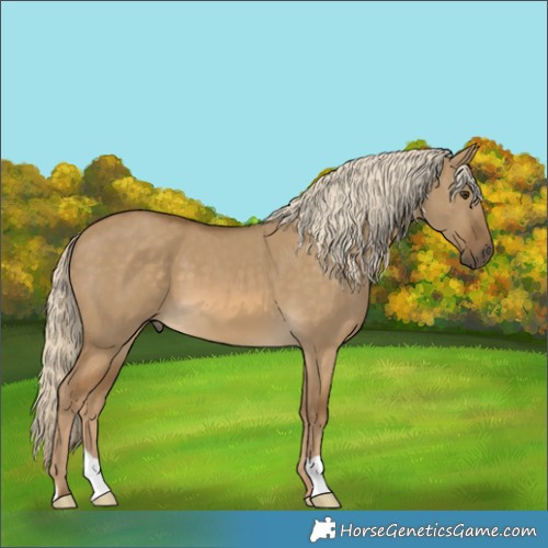 Horse Color:Chocolate Palomino Dun 