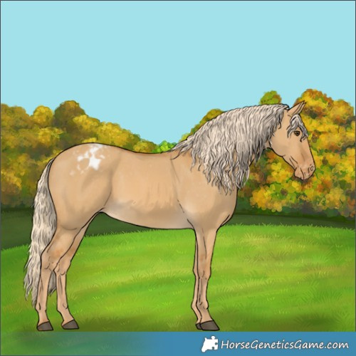 Horse Color:Palomino Dun Varnish 