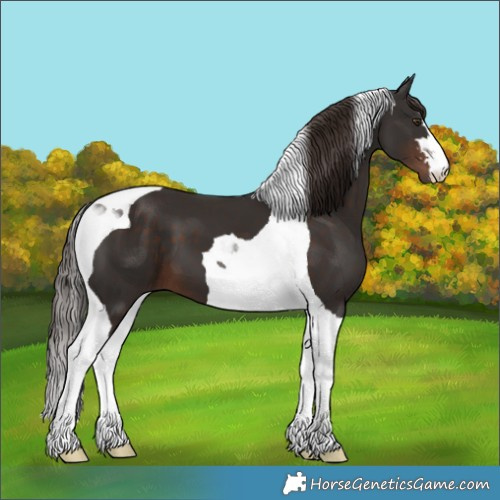 Horse Color:Liver Chestnut Tobiano 