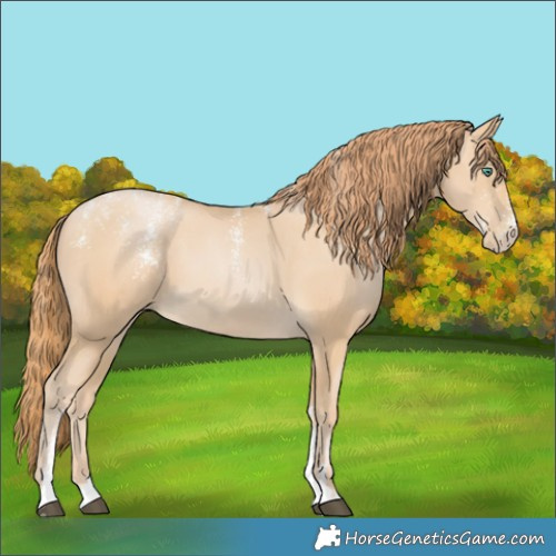 Horse Color:Powder White Smoky Black Pearl