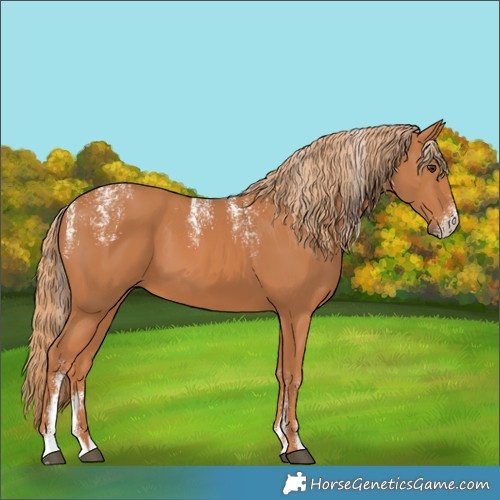 Horse Color:Powder White Chestnut