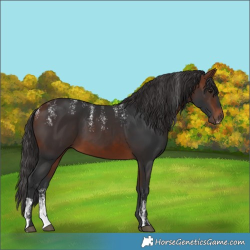 Horse Color:Powder White Bay 