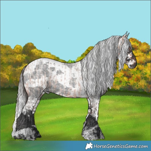 Horse Color:Bay Roan Merle and Blue Roan Harlequin Merle