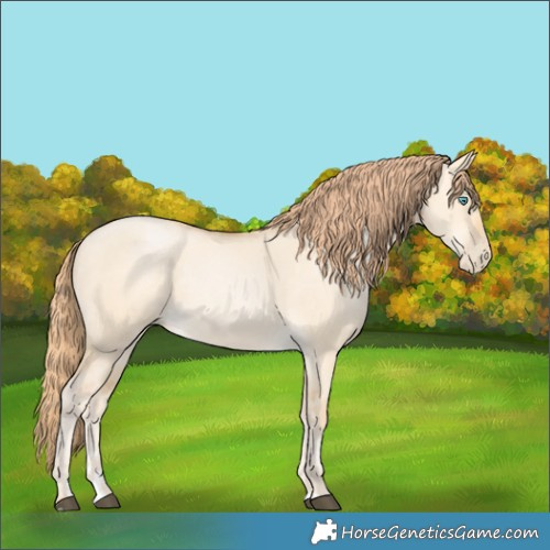 Horse Color:Buckskin Dun Merle