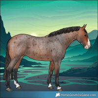 Horse Color:Bay Roan Splash