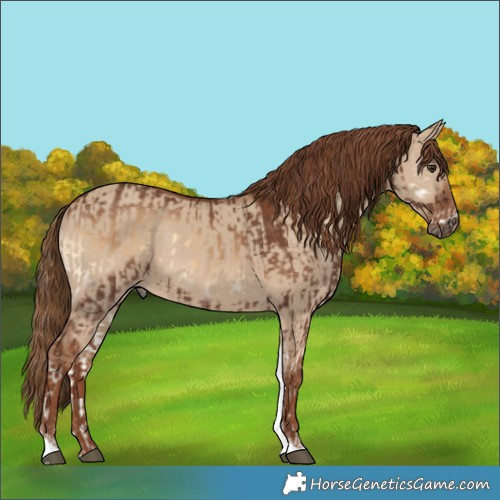 Horse Color:Red Onyx  and Red Dun Tobiano 