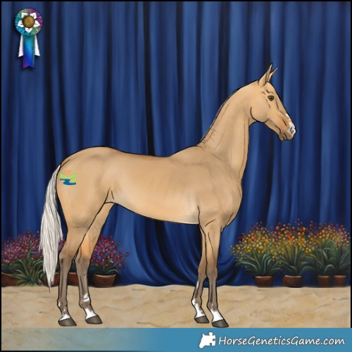 Horse Color:Silver Buckskin Dun